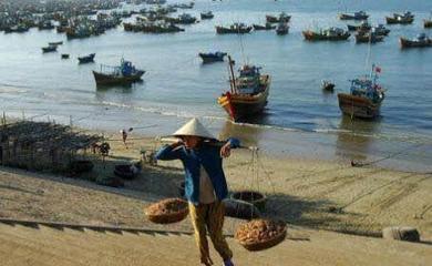 来越南买20只螃蟹,老板要价15万,仅合人民币44元,太便宜